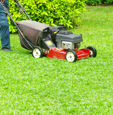 Local Lawn Mowing Services Melbourne